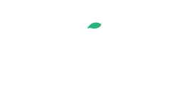 Regent Capital Partners